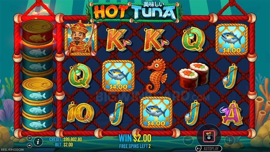 Hot Tuna