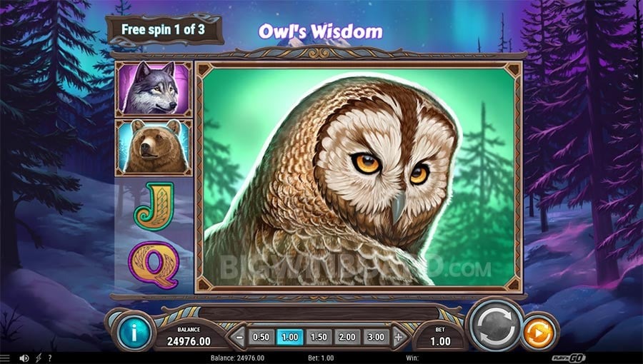 Wild North Radiant Skies Go Collect