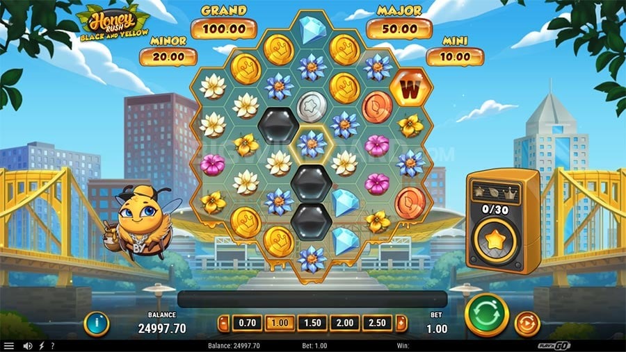 Honey Rush Black and Yellow